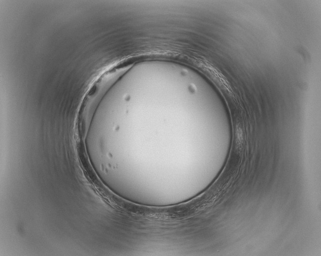 X0000115830628200912041648