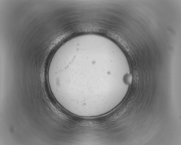 X0000115830629200912041648