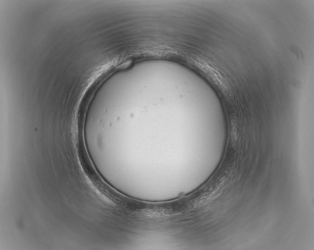 X0000115830630200912041648