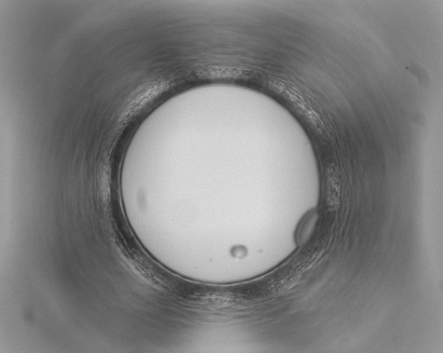 X0000115830631200912041648