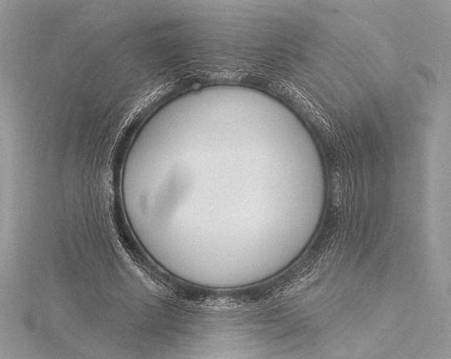 X0000115830634200912041648