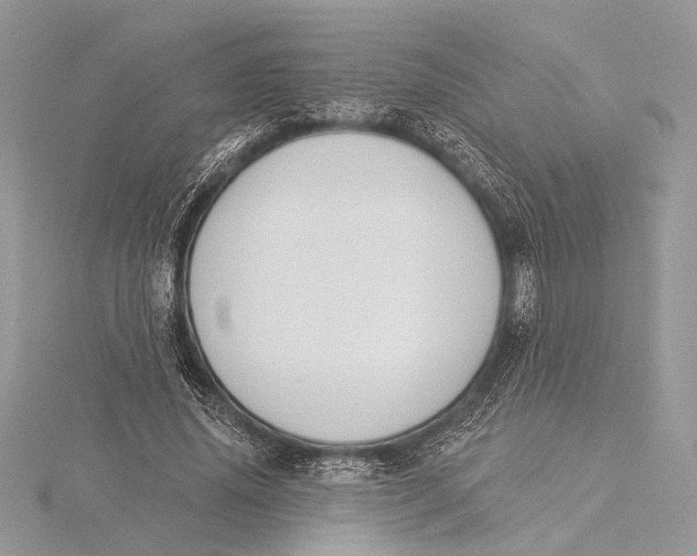 X0000115830636200912041648