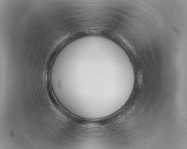 X0000115830637200912041648