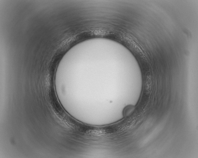 X0000115830639200912041648