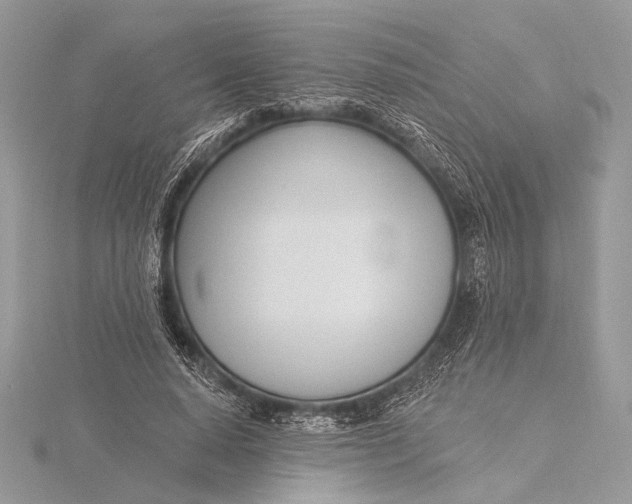 X0000115830640200912041648