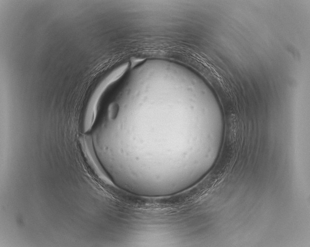 X0000115830641200912041648