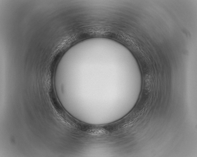 X0000115830642200912041648