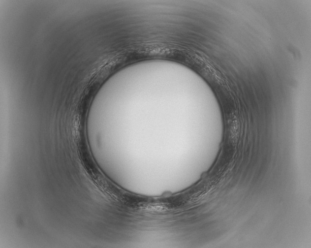 X0000115830643200912041648