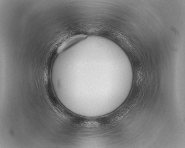 X0000115830644200912041648