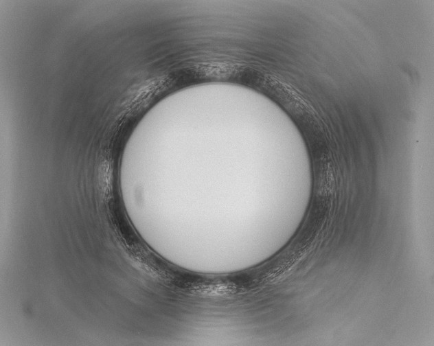 X0000115830646200912041649