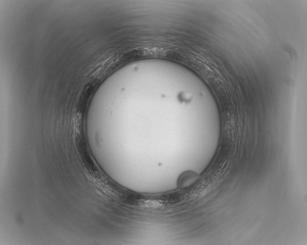 X0000115830649200912041649