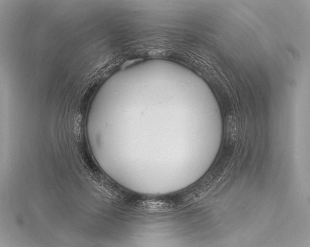 X0000115830650200912041649