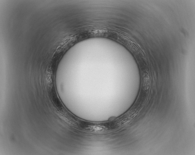 X0000115830654200912041649