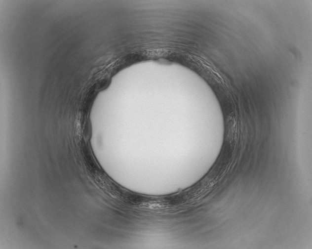 X0000115830655200912041649