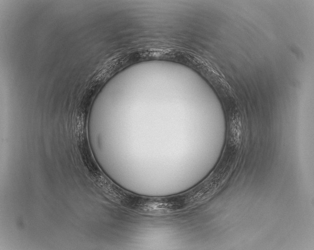 X0000115830657200912041649