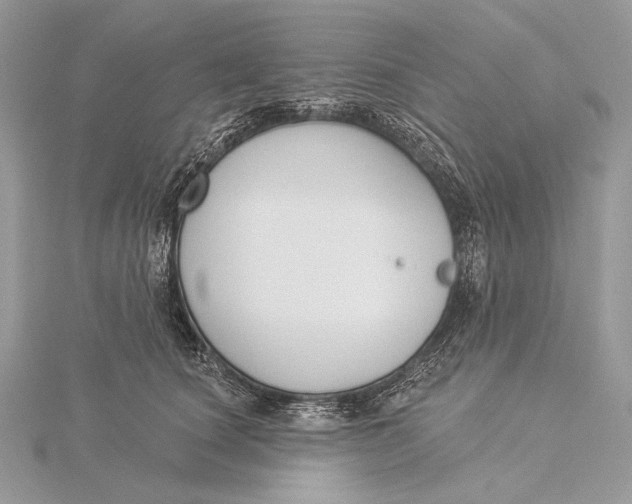 X0000115830660200912041649