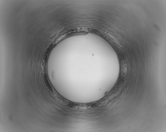 X0000115830661200912041649