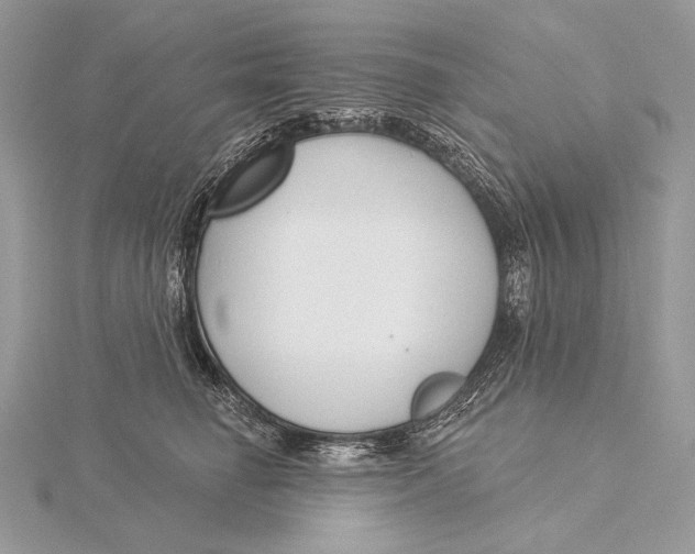 X0000115830662200912041649