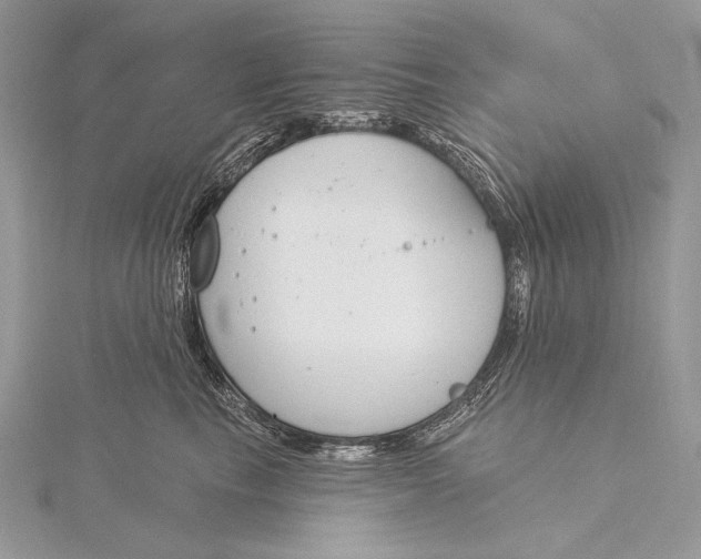 X0000115830665200912041649