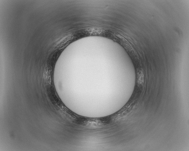 X0000115830666200912041649