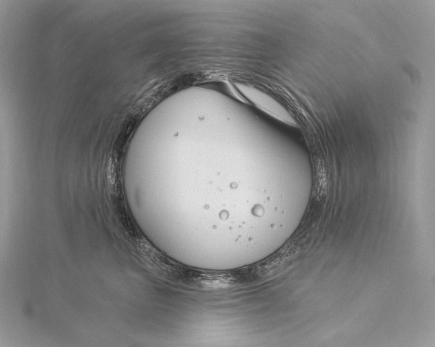 X0000115830667200912041649