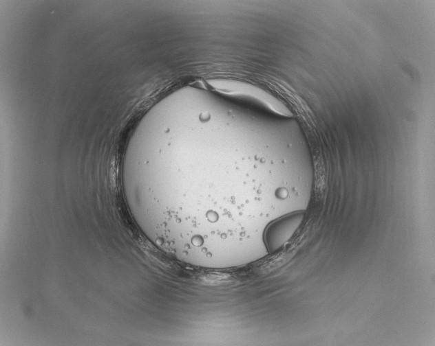 X0000115830669200912041649