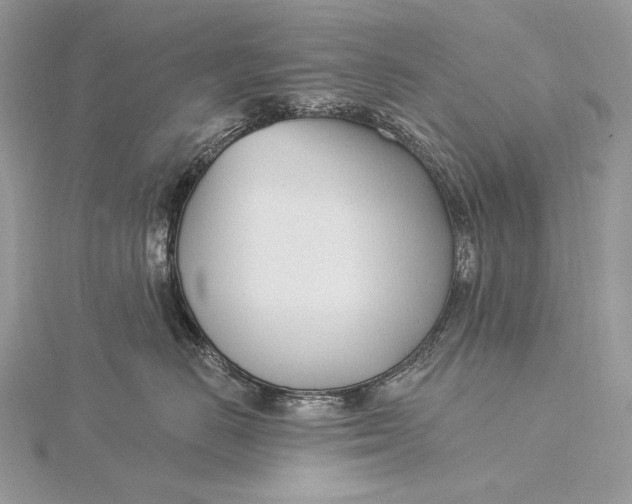 X0000115830670200912041649