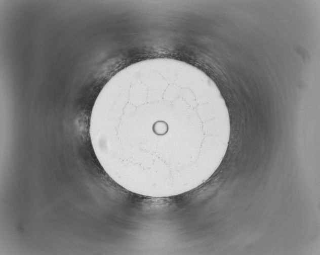 X0000115830672200912041649