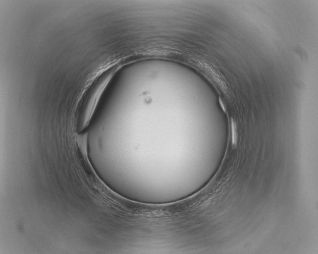 X0000115830675200912041648