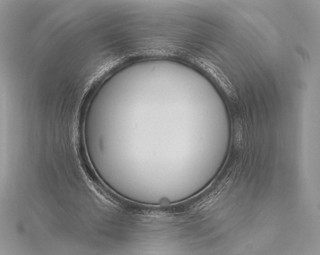 X0000115830677200912041648