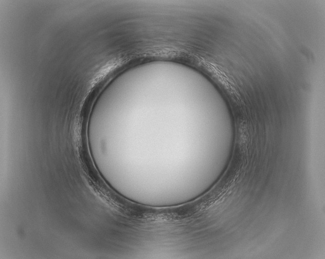 X0000115830679200912041648