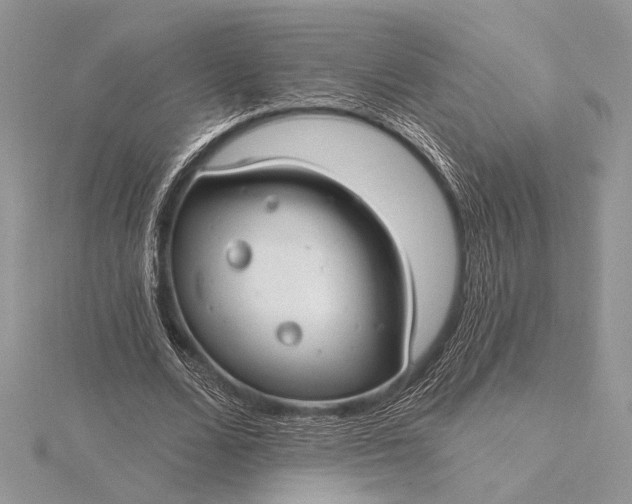 X0000115830680200912041648