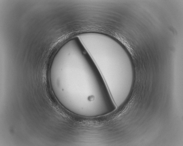 X0000115830681200912041648