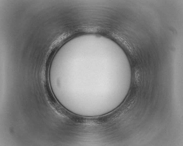 X0000115830682200912041648