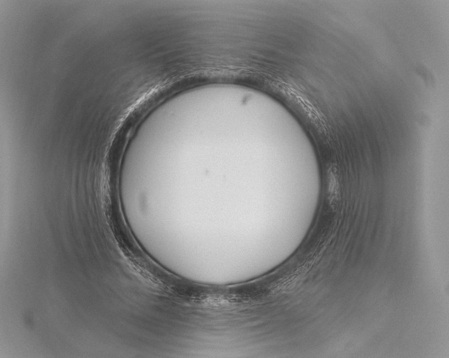 X0000115830684200912041648