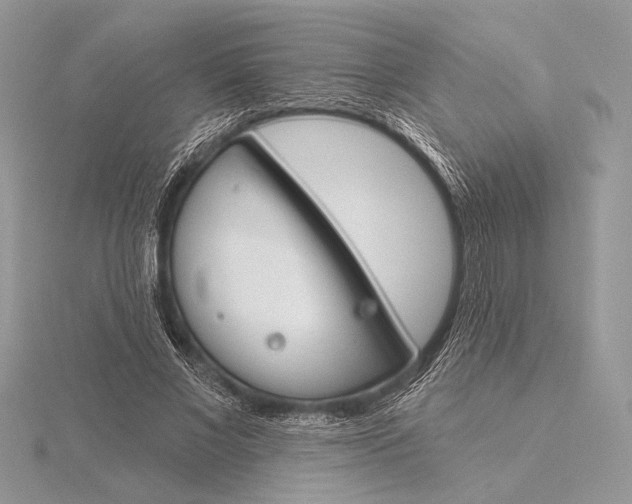 X0000115830685200912041648