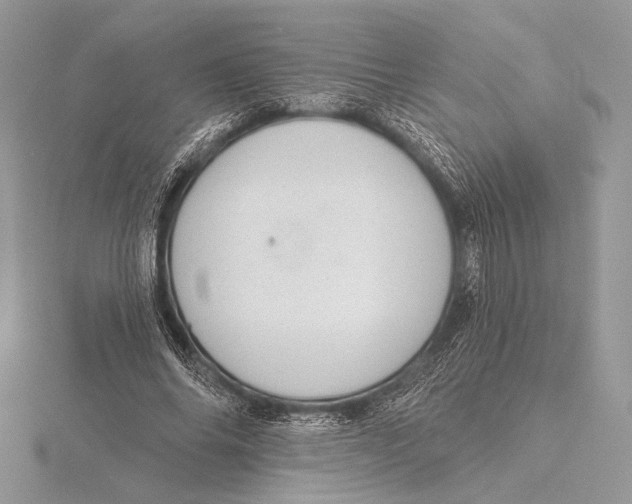 X0000115830686200912041648