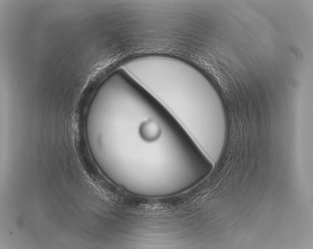 X0000115830688200912041648