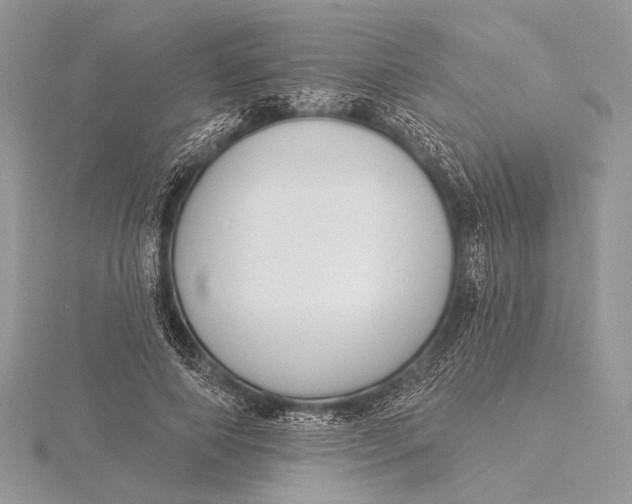 X0000115830690200912041648