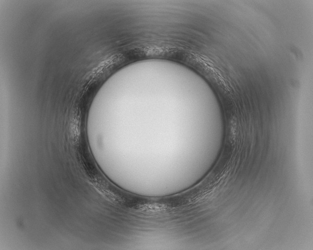 X0000115830691200912041648