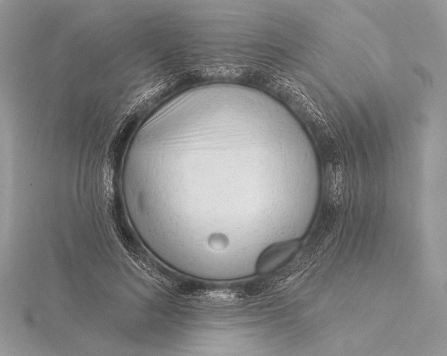 X0000115830692200912041648