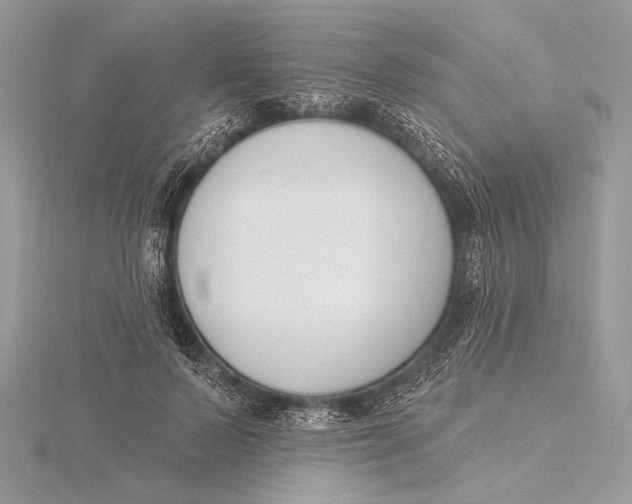 X0000115830695200912041648