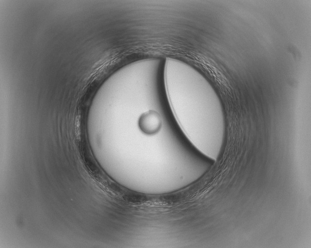 X0000115830696200912041648