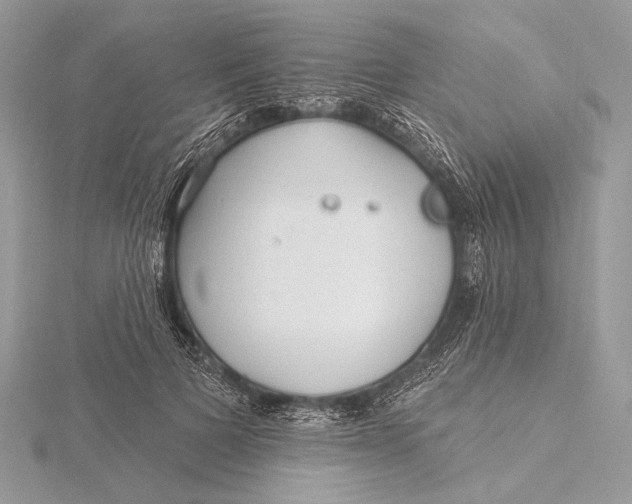 X0000115830697200912041648