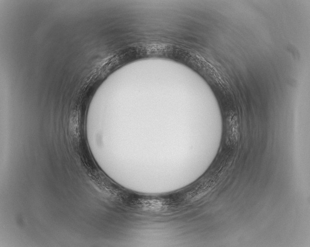 X0000115830698200912041648