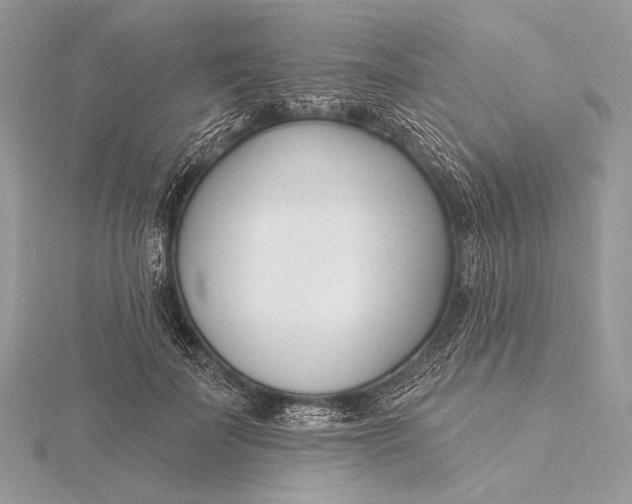 X0000115830699200912041648