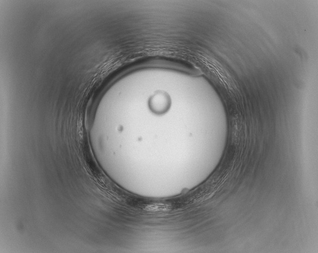 X0000115830700200912041648