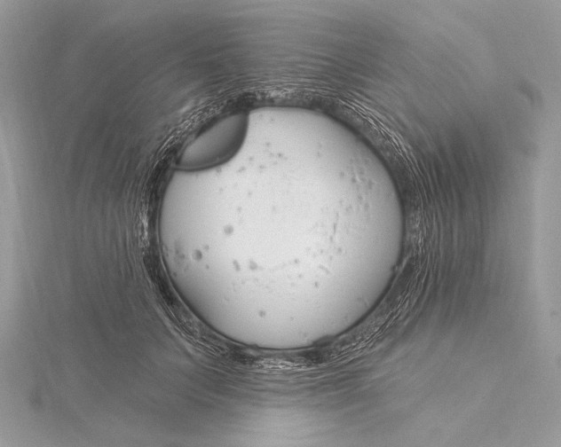 X0000115830703200912041648