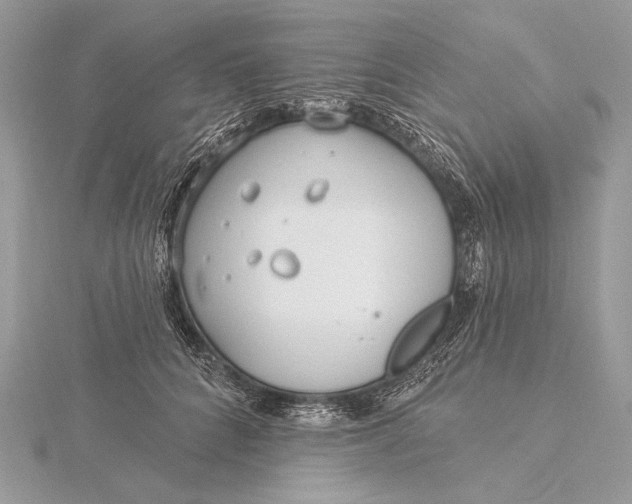 X0000115830704200912041648