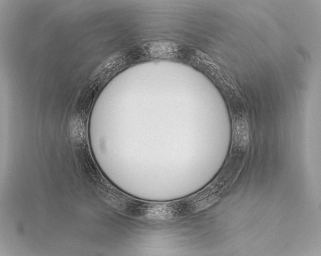 X0000115830705200912041648